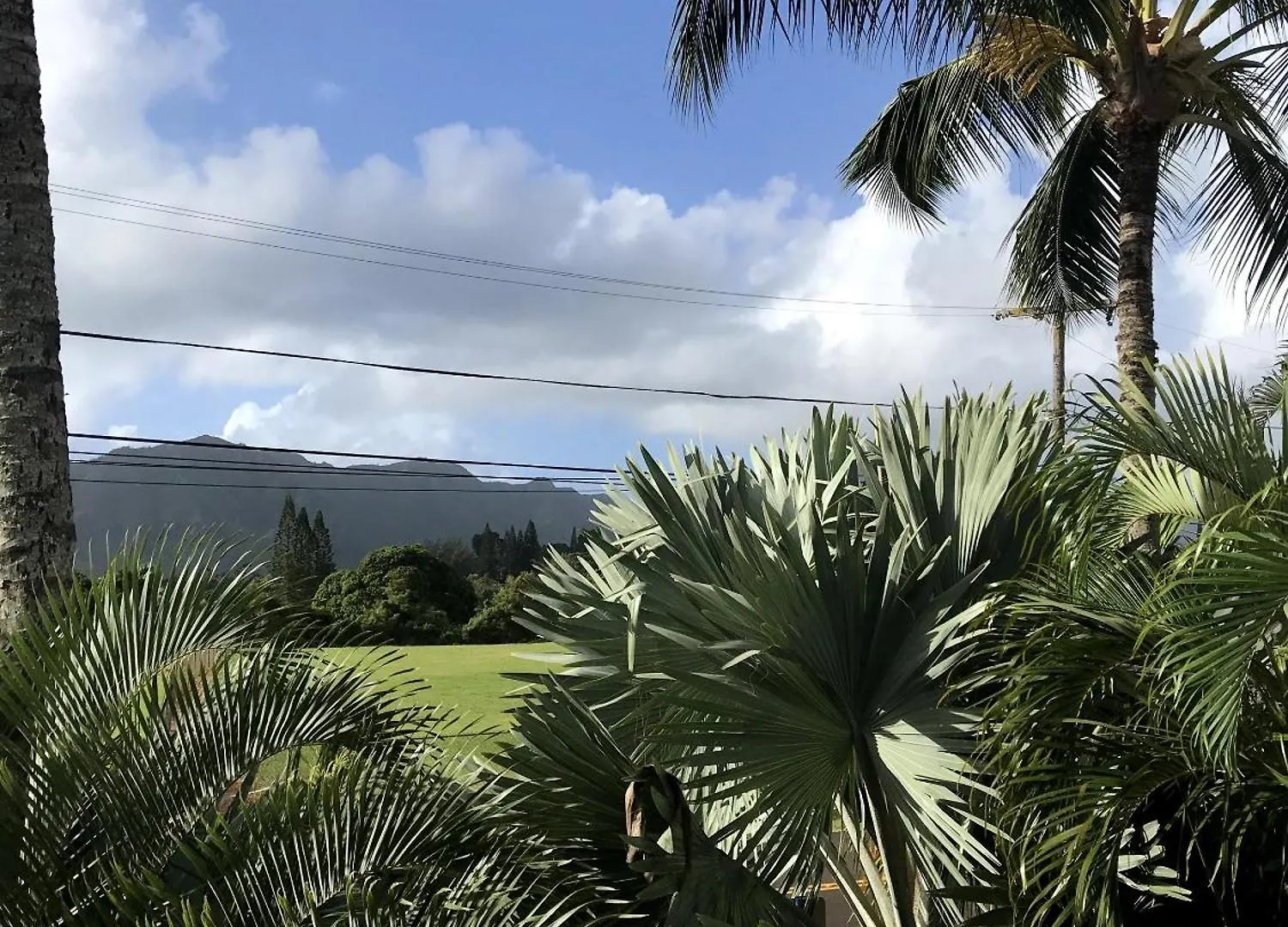 Kauai Palms Hotel Lihue United States